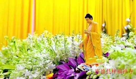 供花--请联系寺院客堂咨询：13637213605（微信同号）